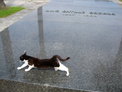 argentinien_originale 188.jpg